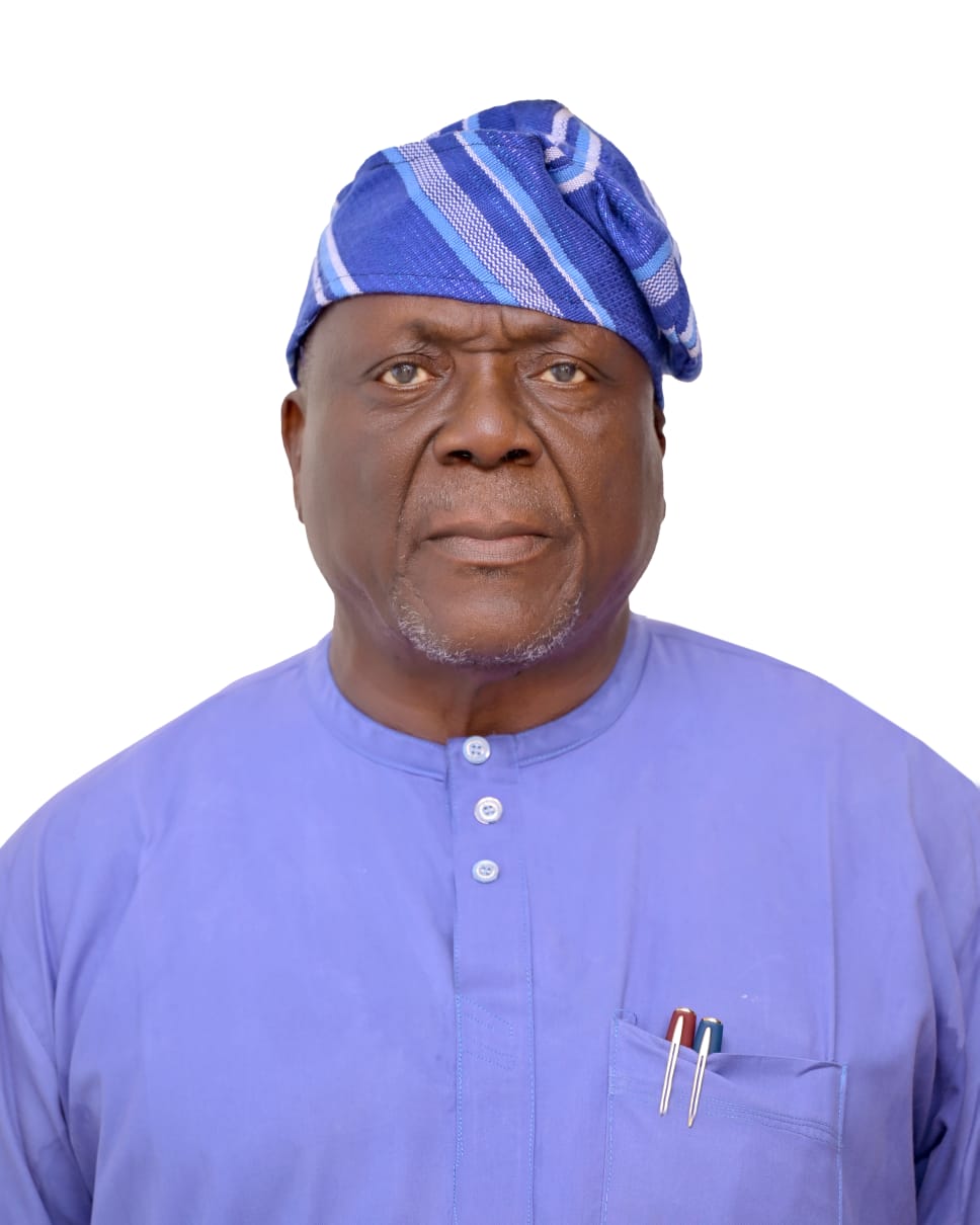 Prof Ehinmidu, Olorunmola Joseph